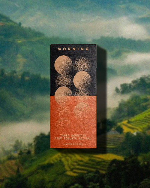 Limited Release Tamba Mountain Fine Robusta
