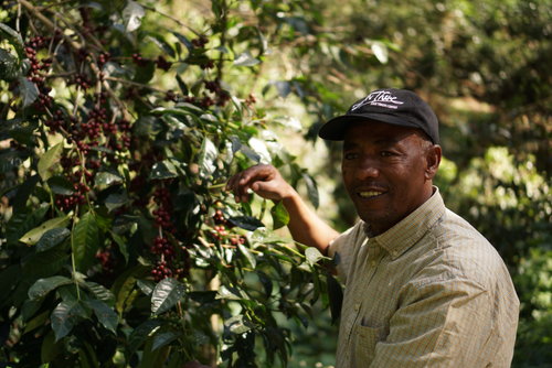 Flavour of The Month: Tesfaye by PPP Coffee