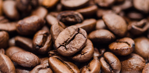 Arabica Coffee & Robusta Coffee - What's the Difference?