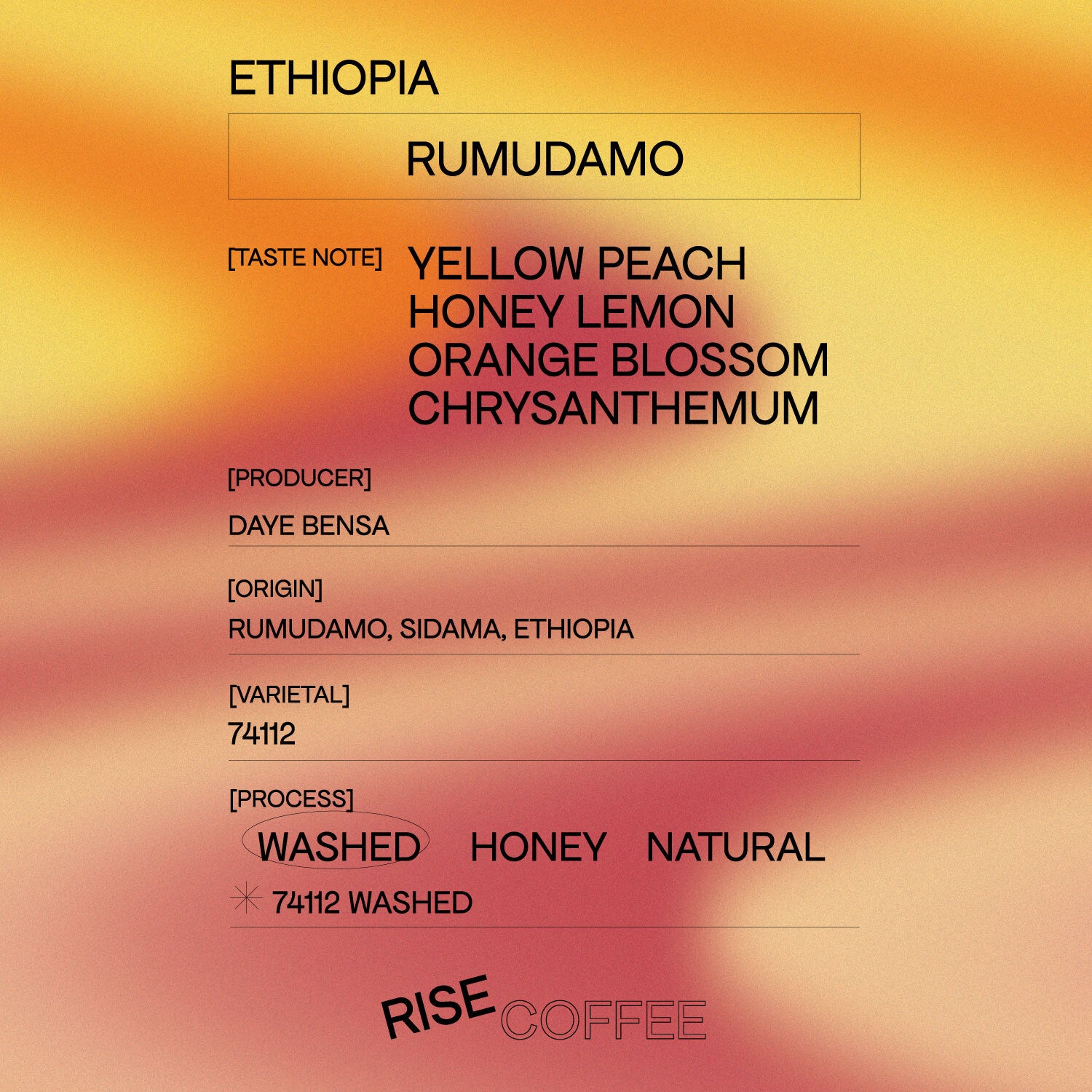 Ethiopia Rumudamo 74158 Washed (Whole Beans)