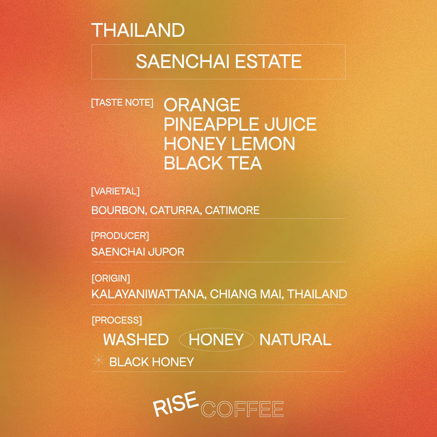 Thailand Saenchai Black Honey (Whole Beans)