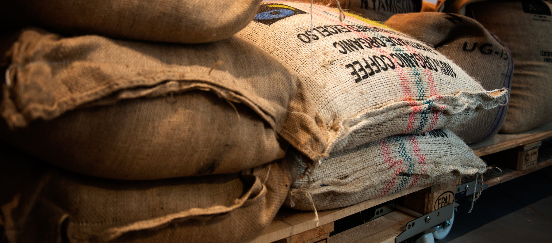 Kiss the Hippo Morning