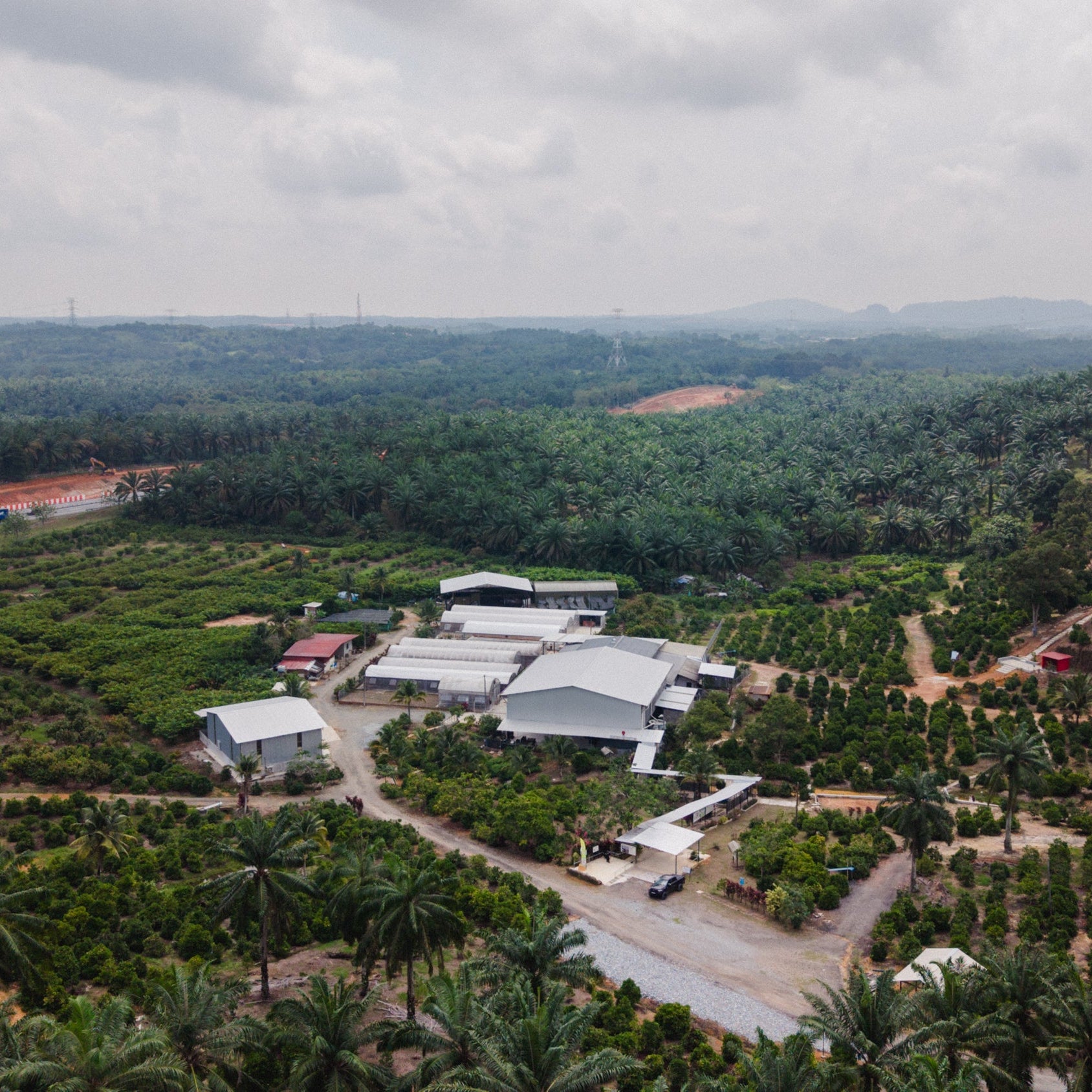 Coffee Origin Trip | My Liberica Coffee Farm, Mill & Tour in Johor, Malaysia