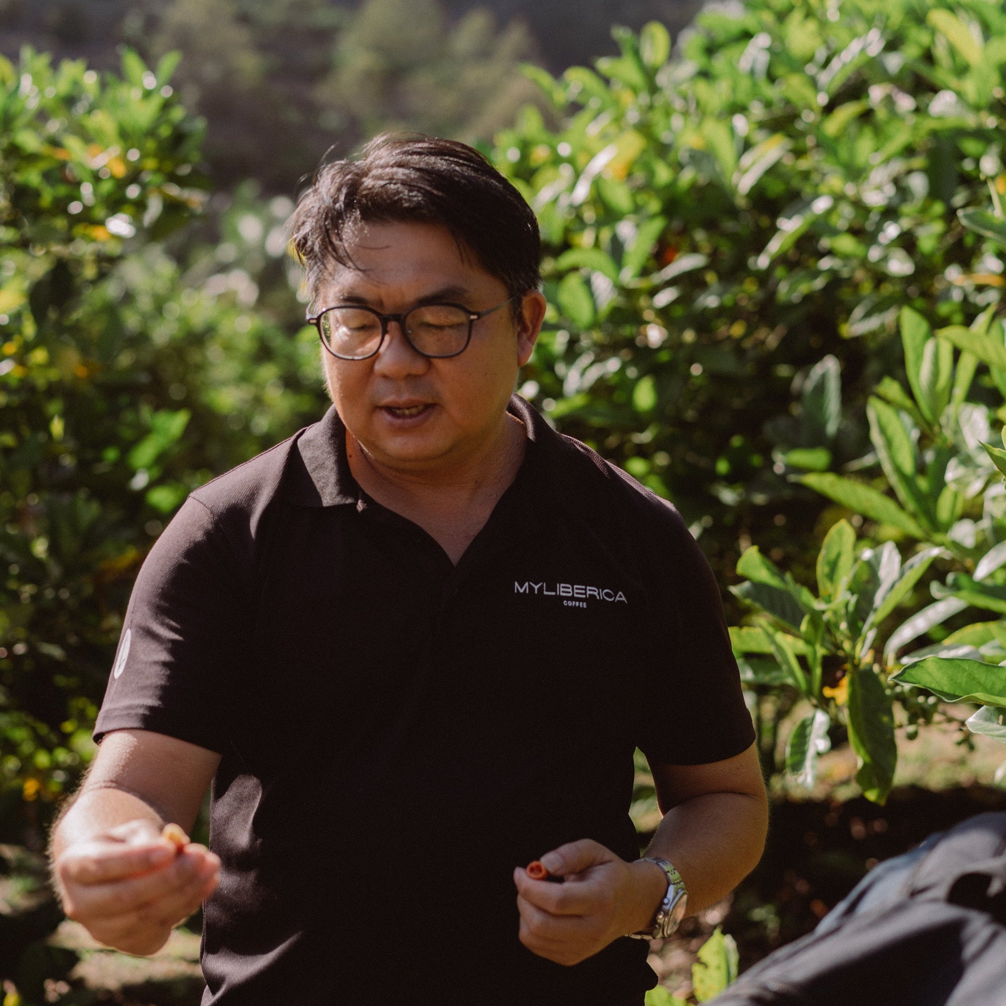 Coffee Origin Trip | My Liberica Coffee Farm, Mill & Tour in Johor, Malaysia