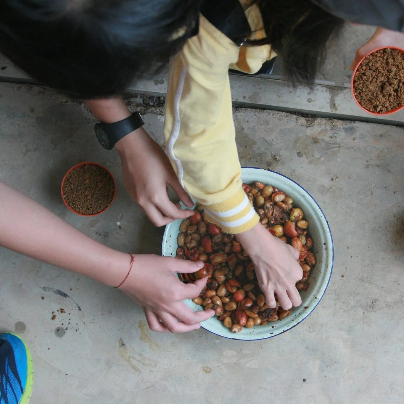 Coffee Origin Trip | My Liberica Coffee Farm, Mill & Tour in Johor, Malaysia